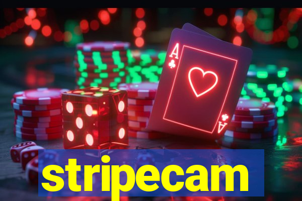 stripecam