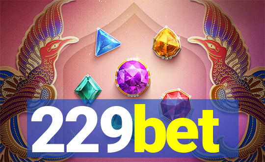 229bet