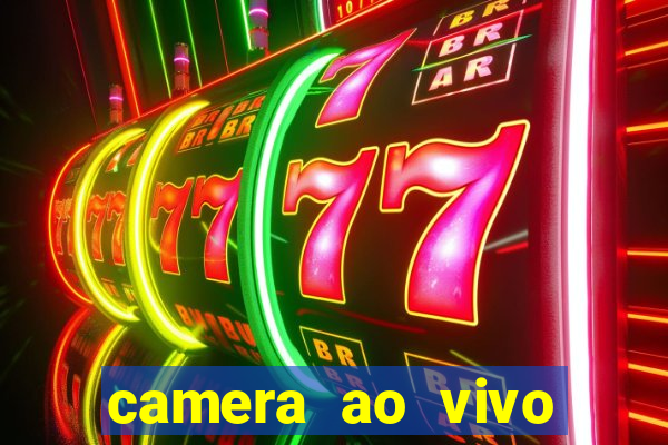 camera ao vivo terminal vila nova cachoeirinha