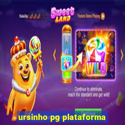 ursinho pg plataforma