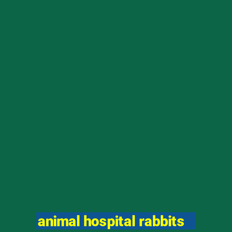 animal hospital rabbits