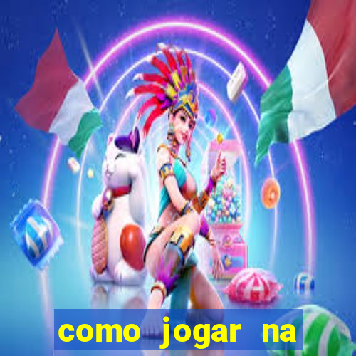 como jogar na seninha online