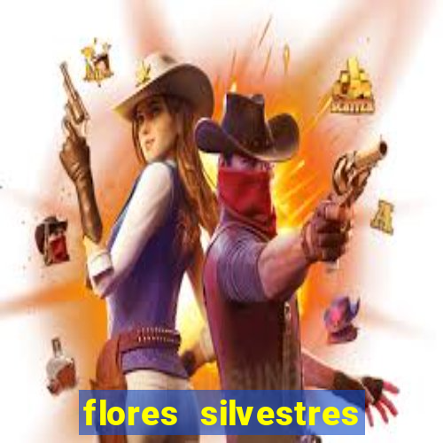 flores silvestres desbravadores desbravadores 25 flores silvestres e seus nomes