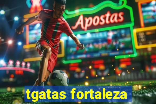 tgatas fortaleza