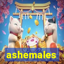 ashemales