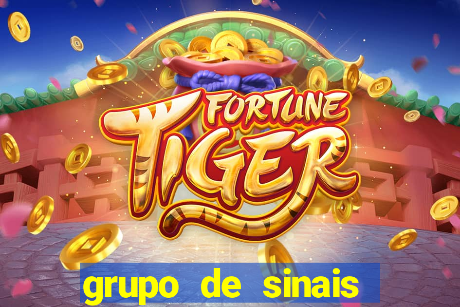 grupo de sinais fortune rabbit